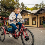 adults-tricycle