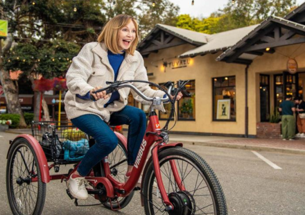 adults-tricycle